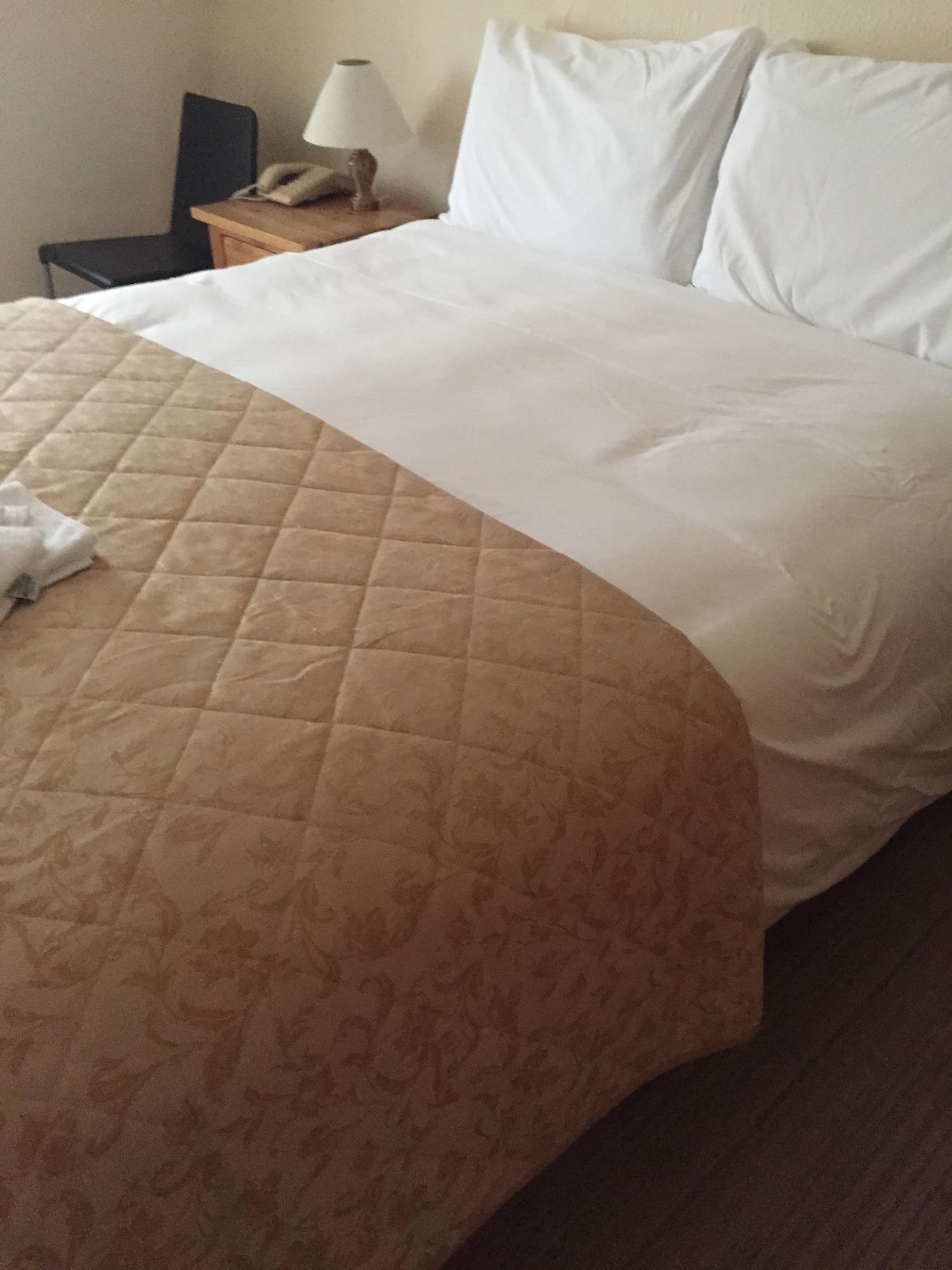 Carlton Hotel Ilfracombe Εξωτερικό φωτογραφία